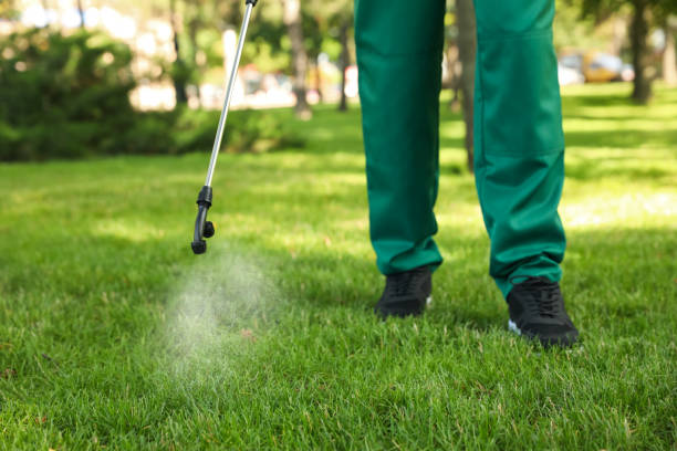 Insect Control in Lafayette, TN