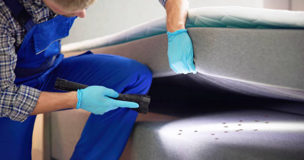 Best Affordable Pest Control Services  in Lafayette, TN
