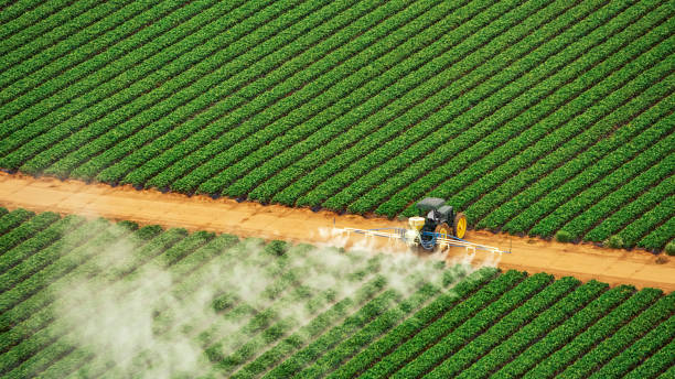 Best Pest Removal Services  in Lafayette, TN